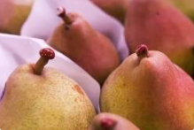poire